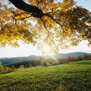 Meet your Posher, Erandale